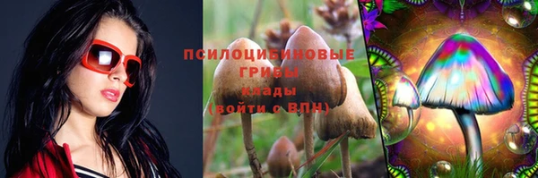 apvp Киренск