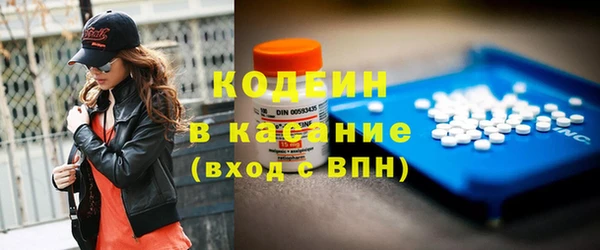 индика Кинешма