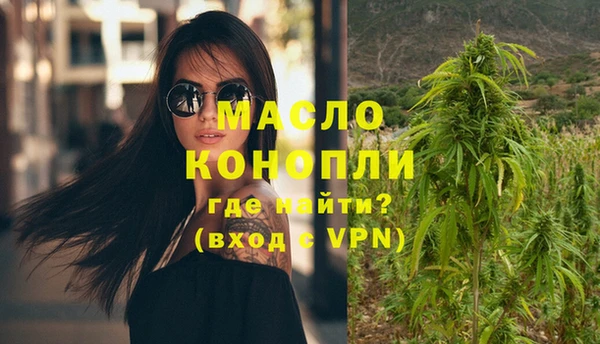 индика Кинешма