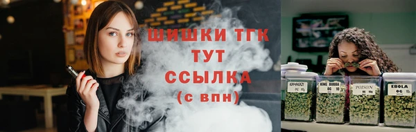 индика Кинешма