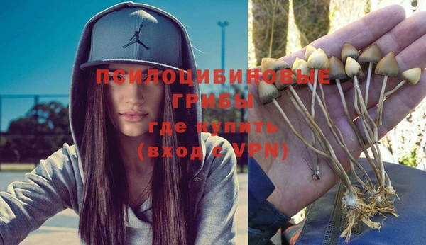 индика Кинешма
