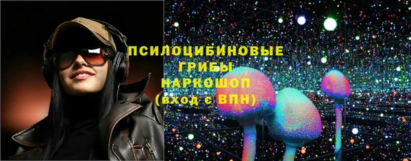 индика Кинешма