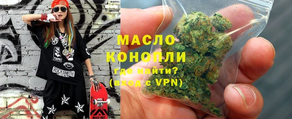 индика Кинешма