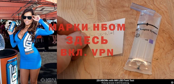 индика Кинешма