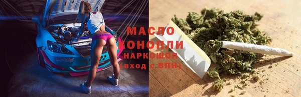 индика Кинешма
