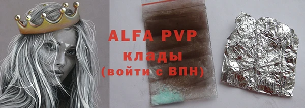 индика Кинешма