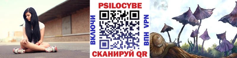 Псилоцибиновые грибы ЛСД  Купить закладки  Приморско-Ахтарск 